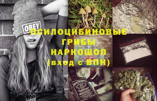 прущий лед Ельня