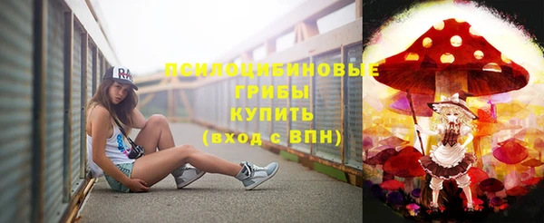 метадон Елизово