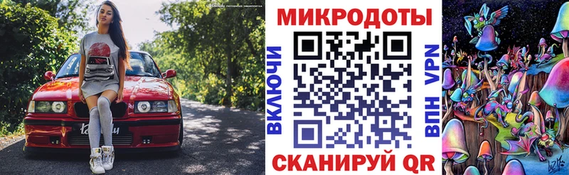 Псилоцибиновые грибы Psilocybine cubensis Купить где Онега